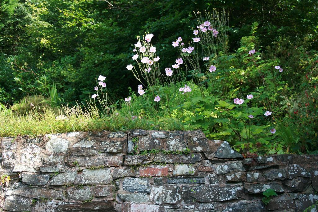 ホテルThe Bark House ティバートン エクステリア 写真