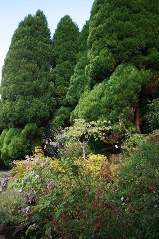 ホテルThe Bark House ティバートン エクステリア 写真