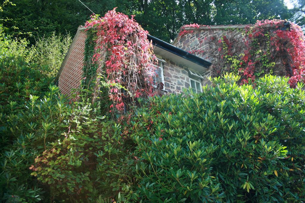 ホテルThe Bark House ティバートン エクステリア 写真
