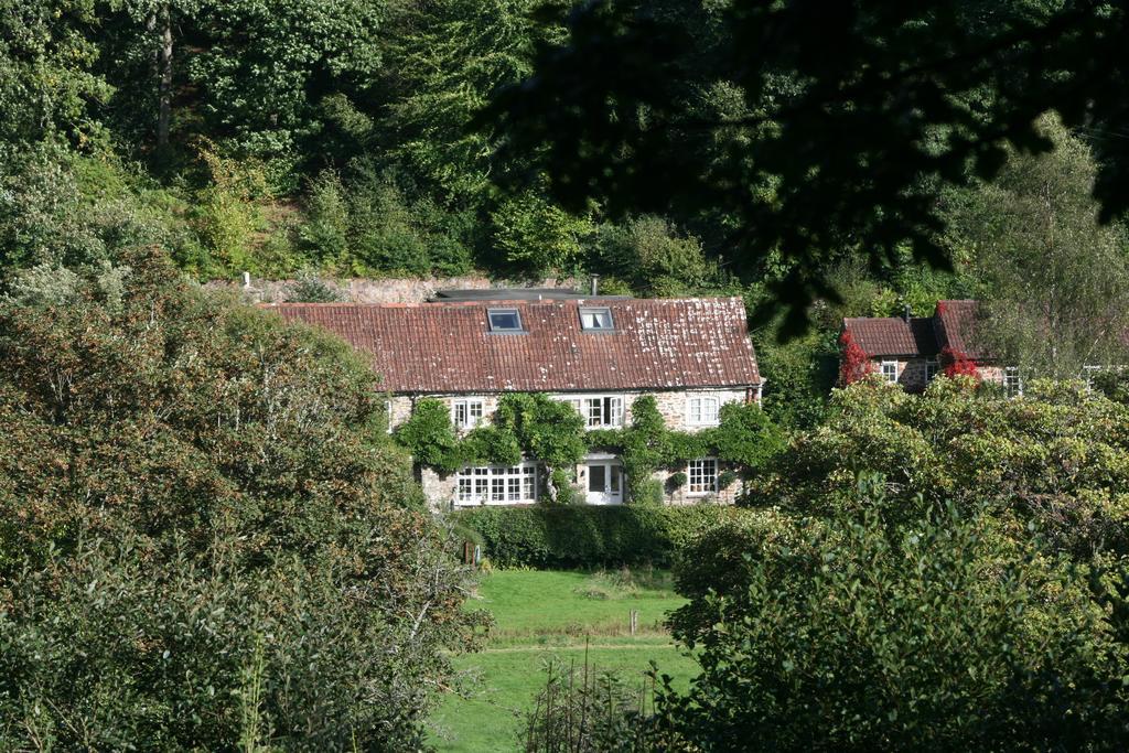 ホテルThe Bark House ティバートン エクステリア 写真